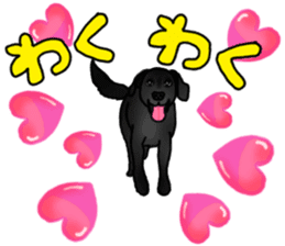 SORA FAMILY : PART 2 sticker #15607474