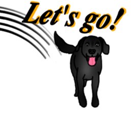 SORA FAMILY : PART 2 sticker #15607475