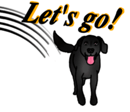 SORA FAMILY : PART 2 sticker #15607475