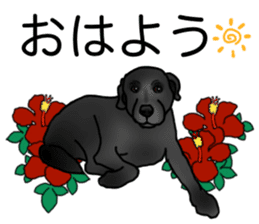 SORA FAMILY : PART 2 sticker #15607476