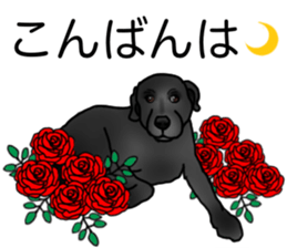 SORA FAMILY : PART 2 sticker #15607477