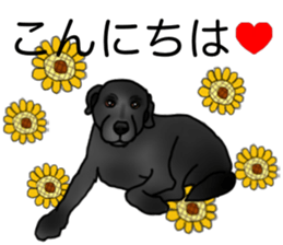 SORA FAMILY : PART 2 sticker #15607478