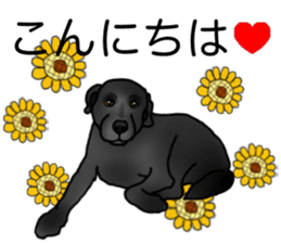 SORA FAMILY : PART 2 sticker #15607478