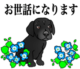 SORA FAMILY : PART 2 sticker #15607479