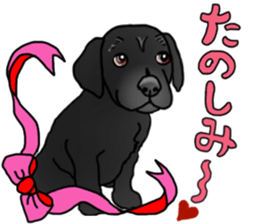 SORA FAMILY : PART 2 sticker #15607480