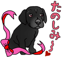 SORA FAMILY : PART 2 sticker #15607480