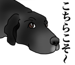 SORA FAMILY : PART 2 sticker #15607482