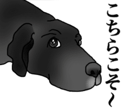 SORA FAMILY : PART 2 sticker #15607482