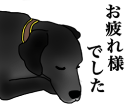 SORA FAMILY : PART 2 sticker #15607483