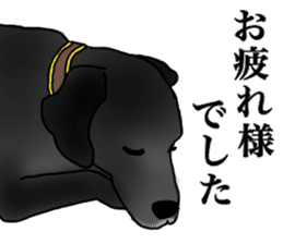 SORA FAMILY : PART 2 sticker #15607483