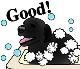 SORA FAMILY : PART 2 sticker #15607484