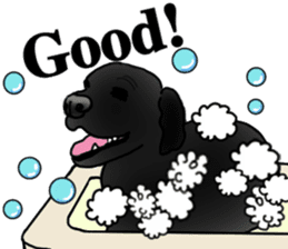 SORA FAMILY : PART 2 sticker #15607484