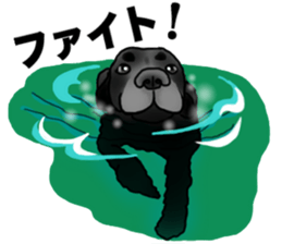 SORA FAMILY : PART 2 sticker #15607485