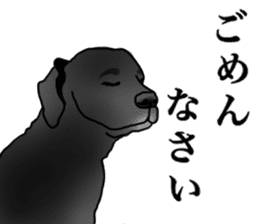 SORA FAMILY : PART 2 sticker #15607486