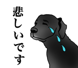 SORA FAMILY : PART 2 sticker #15607487