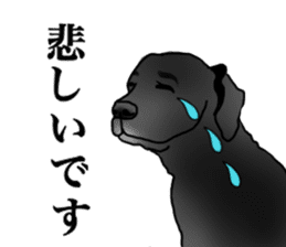 SORA FAMILY : PART 2 sticker #15607487