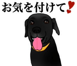 SORA FAMILY : PART 2 sticker #15607488