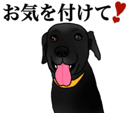 SORA FAMILY : PART 2 sticker #15607488