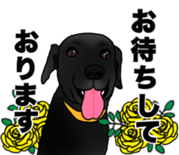 SORA FAMILY : PART 2 sticker #15607489