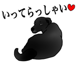 SORA FAMILY : PART 2 sticker #15607490