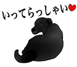 SORA FAMILY : PART 2 sticker #15607490