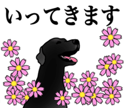 SORA FAMILY : PART 2 sticker #15607491