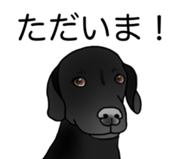 SORA FAMILY : PART 2 sticker #15607492