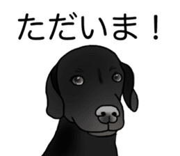 SORA FAMILY : PART 2 sticker #15607492