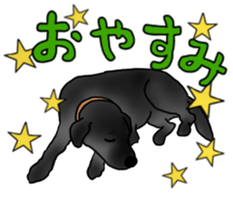 SORA FAMILY : PART 2 sticker #15607493