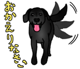 SORA FAMILY : PART 2 sticker #15607494