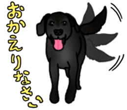 SORA FAMILY : PART 2 sticker #15607494