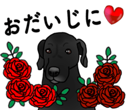 SORA FAMILY : PART 2 sticker #15607495