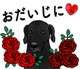 SORA FAMILY : PART 2 sticker #15607495