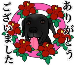 SORA FAMILY : PART 2 sticker #15607496