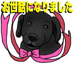 SORA FAMILY : PART 2 sticker #15607497