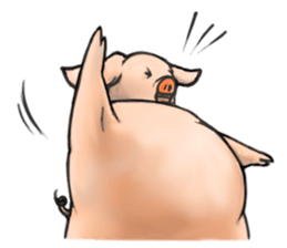 pig's life story sticker #15607598