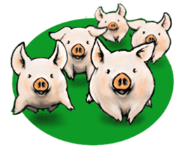 pig's life story sticker #15607616