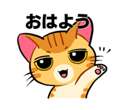 Cat's expression sticker #15608538