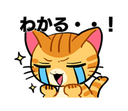 Cat's expression sticker #15608548
