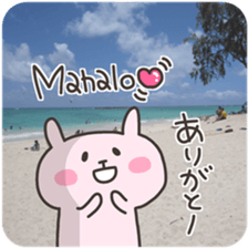 USA chim HAWAII sticker #15610171