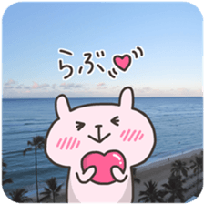 USA chim HAWAII sticker #15610173