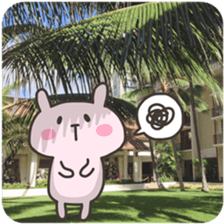 USA chim HAWAII sticker #15610177