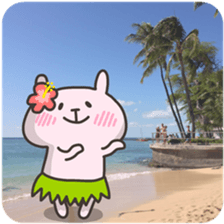 USA chim HAWAII sticker #15610180