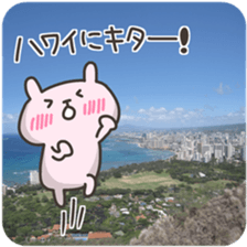 USA chim HAWAII sticker #15610183