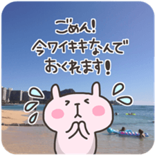 USA chim HAWAII sticker #15610186