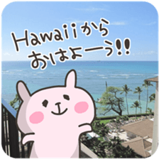 USA chim HAWAII sticker #15610190