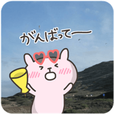 USA chim HAWAII sticker #15610192