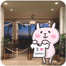 USA chim HAWAII sticker #15610194