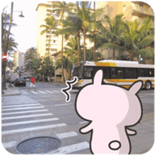 USA chim HAWAII sticker #15610196