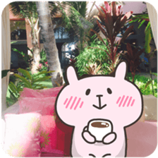 USA chim HAWAII sticker #15610197